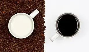 BÌNH TÂM NHÉ, BẠN THÂN YÊU!