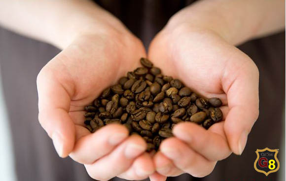 Clean coffee beans, 100% Arabica Coffee beans
