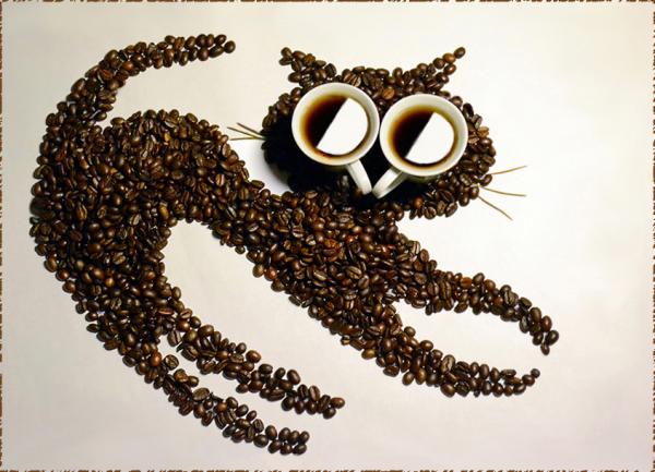Hạt cafe sạch G8.
