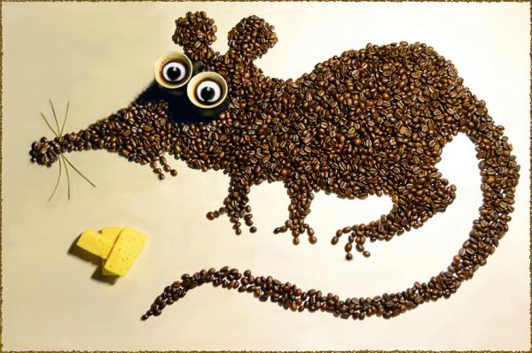 Hạt cafe sạch G8.